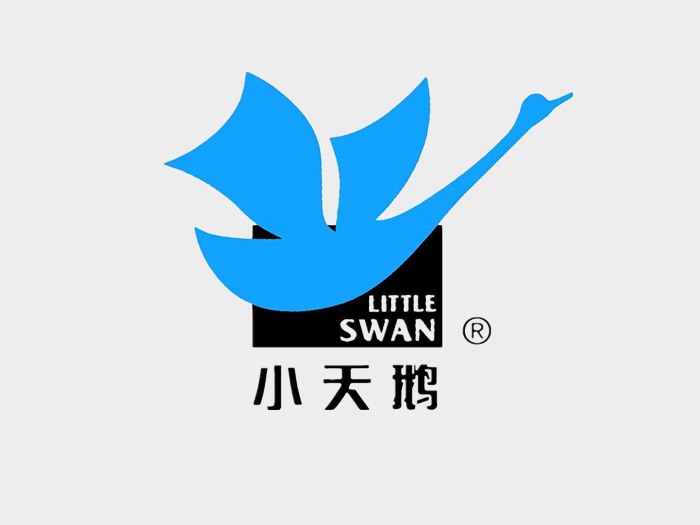 小天鹅